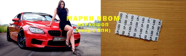 дмт Алзамай