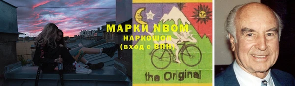дмт Алзамай