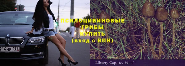 spice Алексеевка